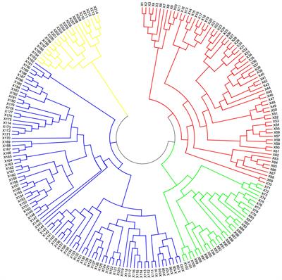Genome-wide association study identifies loci and candidate genes for RVA parameters in wheat (Triticum aestivum L.)